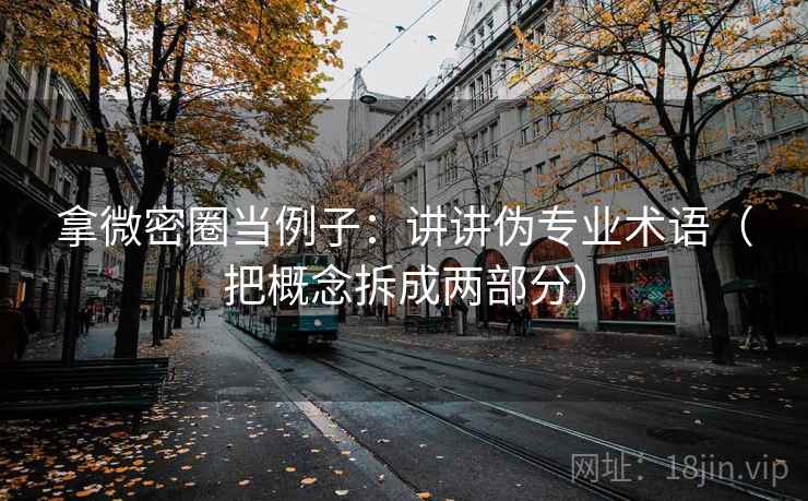 拿微密圈当例子：讲讲伪专业术语（把概念拆成两部分）