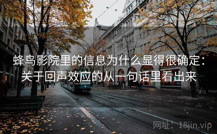 蜂鸟影院里的信息为什么显得很确定：关于回声效应的从一句话里看出来
